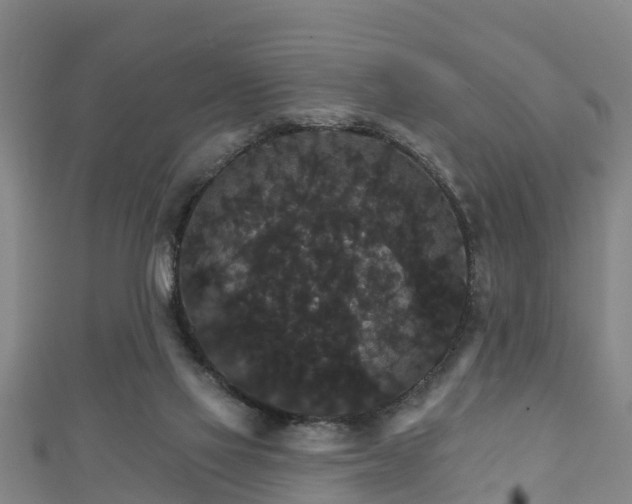 X0000111590069200907231223