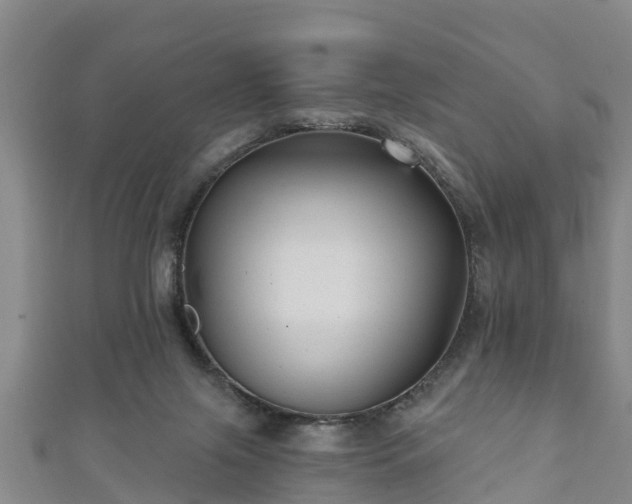 X0000111590071200907231223