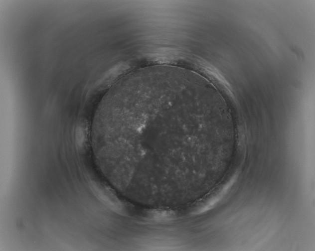 X0000111590073200907231223