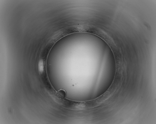 X0000111590075200907231223