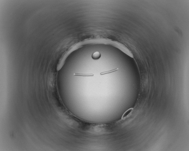 X0000111590078200907231223