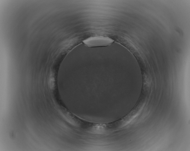 X0000111590080200907231223