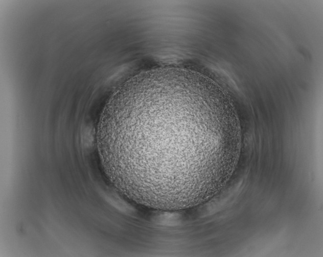 X0000111590081200907231223