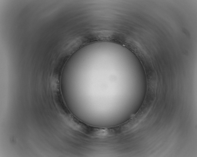 X0000111590083200907231223