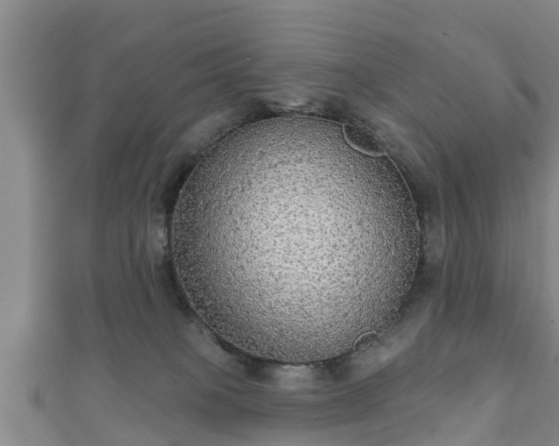 X0000111590085200907231223