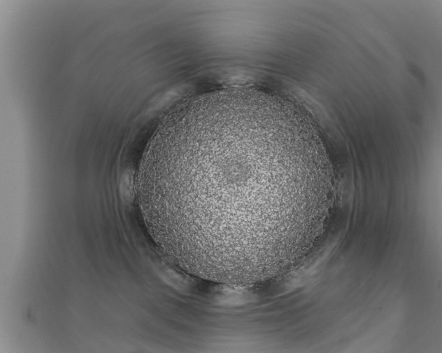 X0000111590093200907231223