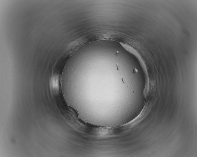 X0000111590094200907231223