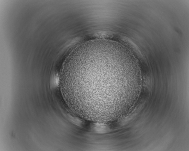 X0000111590095200907231223