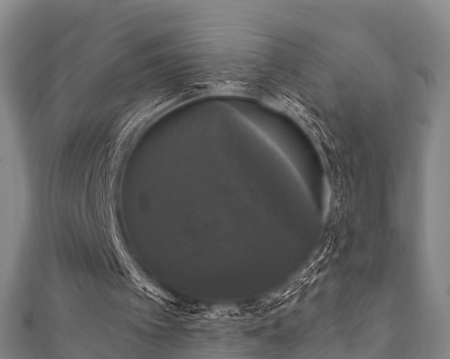 X0000111590097200907231223