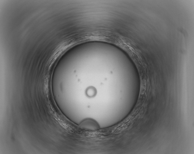 X0000111590098200907231223