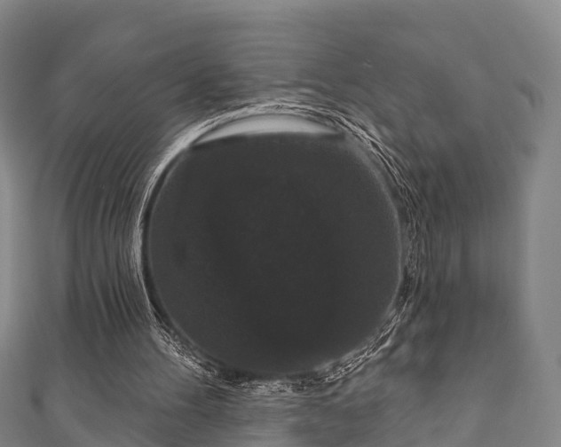 X0000111590100200907231223