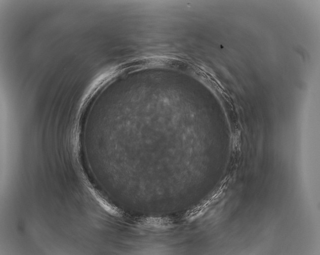 X0000111590101200907231223