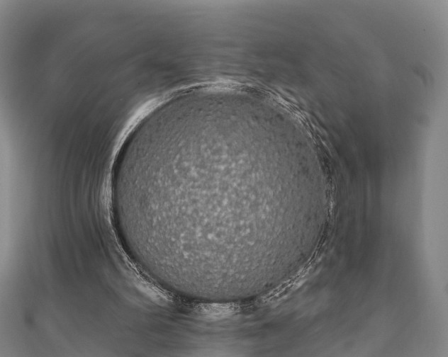 X0000111590102200907231223