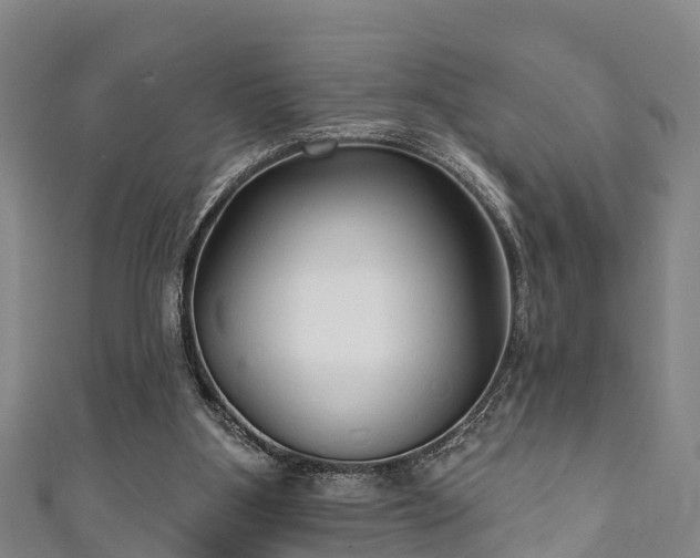 X0000111590107200907231223