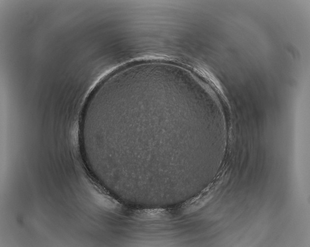 X0000111590108200907231223