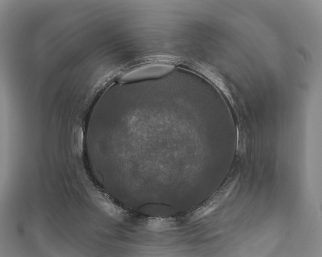 X0000111590109200907231223