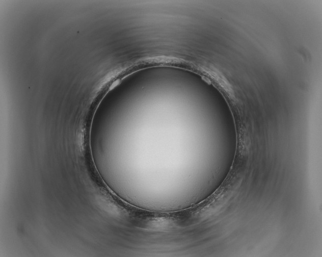 X0000111590111200907231223