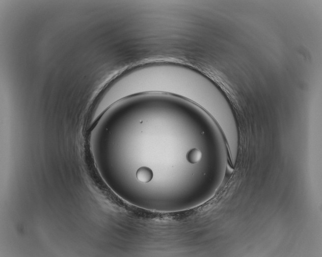 X0000111590112200907231223