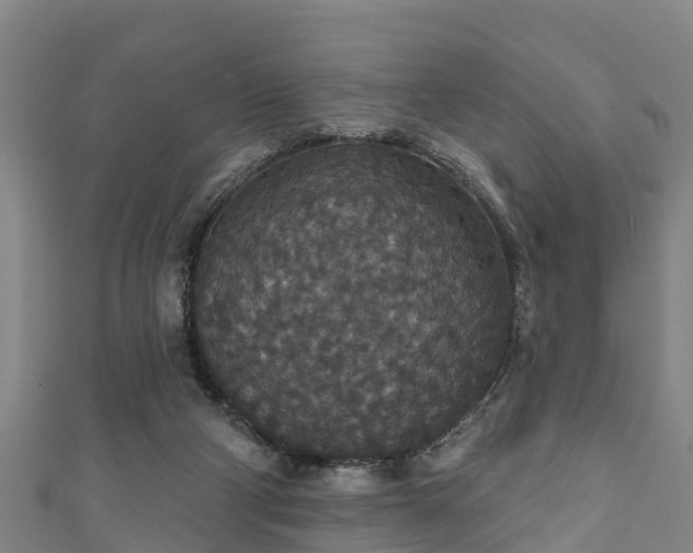 X0000111590114200907231223