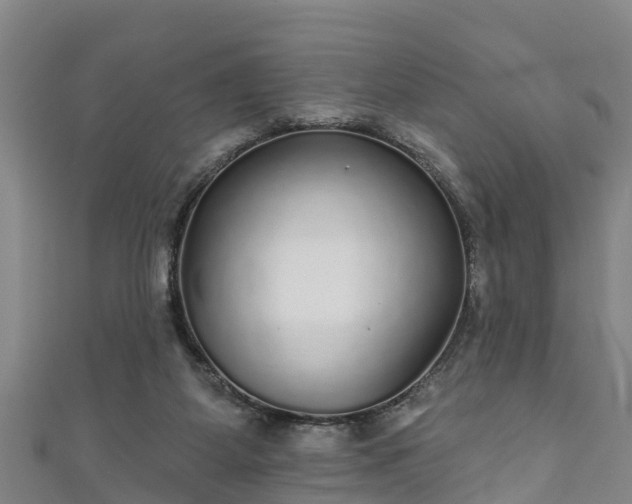 X0000111590115200907231223