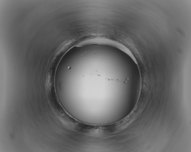 X0000111590116200907231223