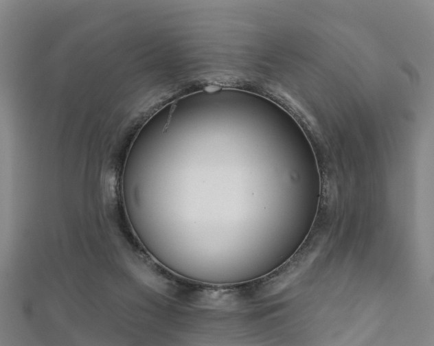 X0000111590117200907231222