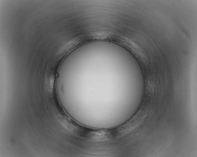 X0000111590118200907231222