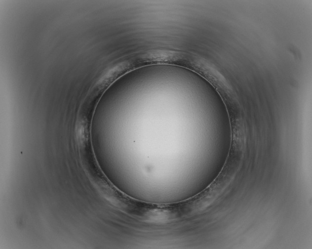 X0000111590119200907231222