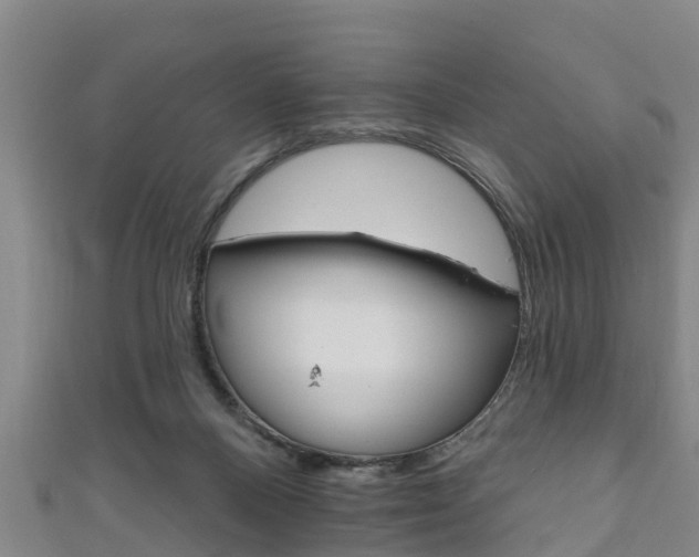 X0000111590120200907231222