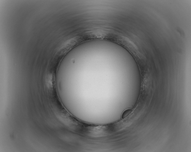 X0000111590122200907231222