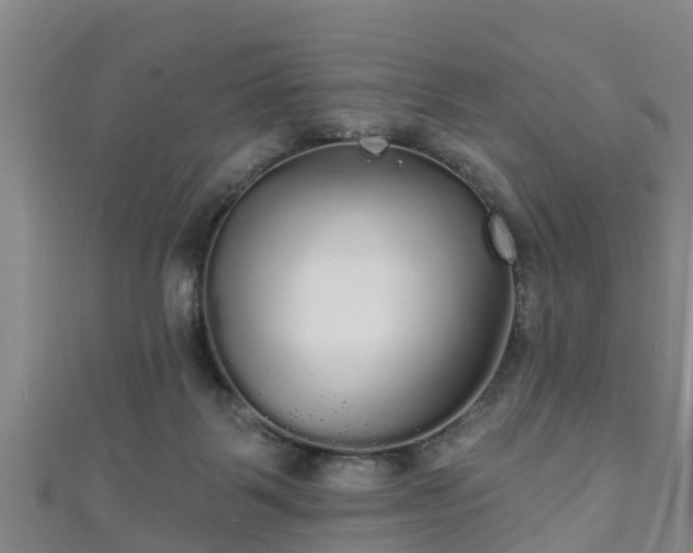 X0000111590123200907231222