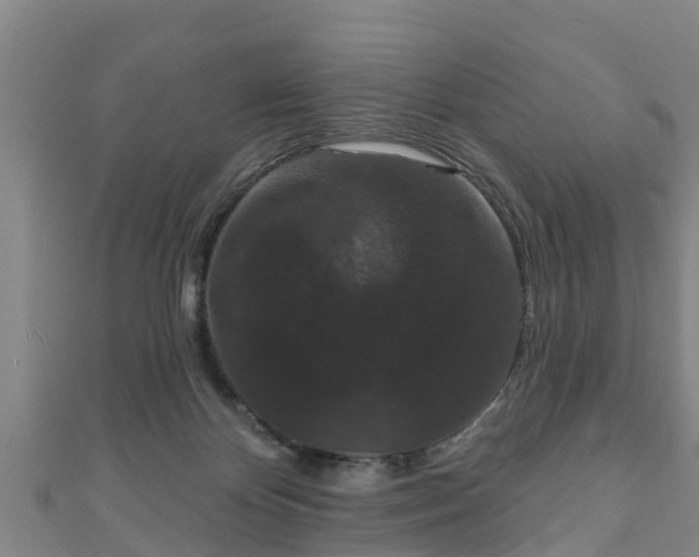 X0000111590124200907231222