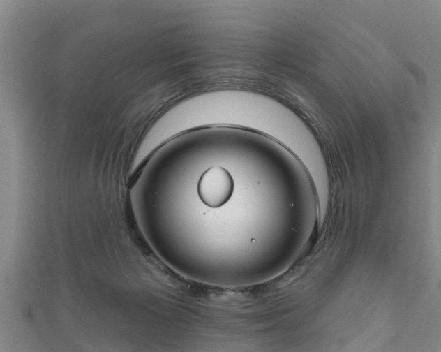 X0000111590125200907231222