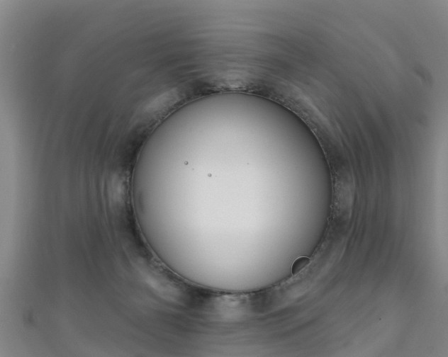 X0000111590126200907231222