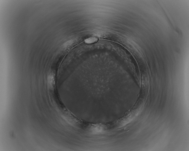 X0000111590127200907231222