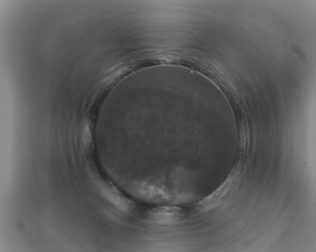 X0000111590128200907231222