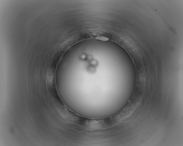 X0000111590129200907231222