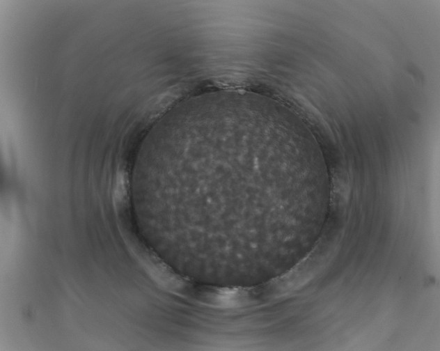 X0000111590130200907231222