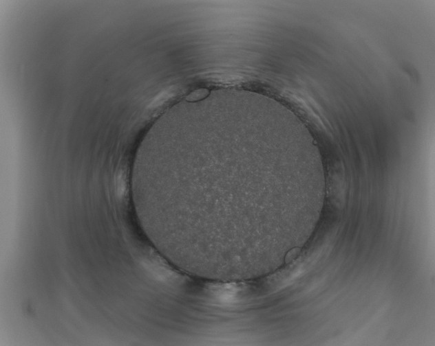 X0000111590131200907231222