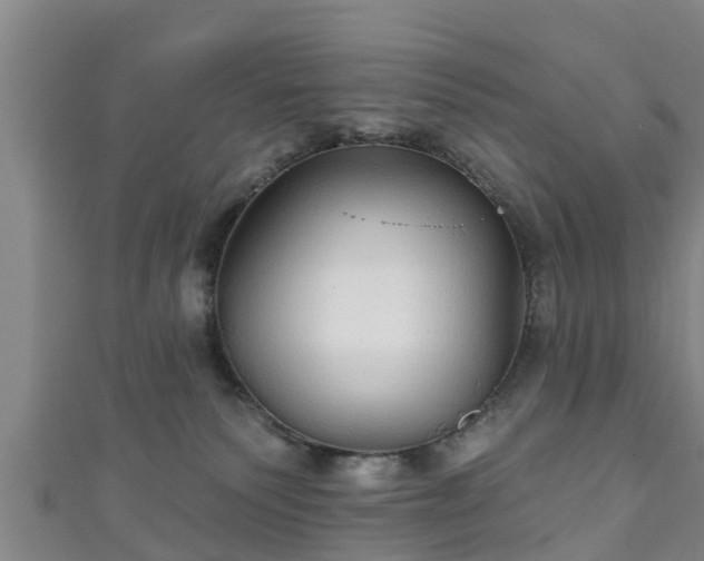 X0000111590135200907231222