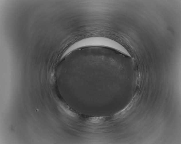 X0000111590136200907231222