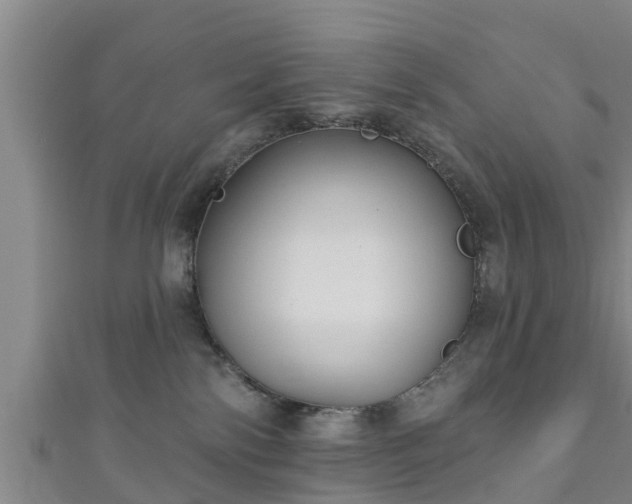 X0000111590138200907231222