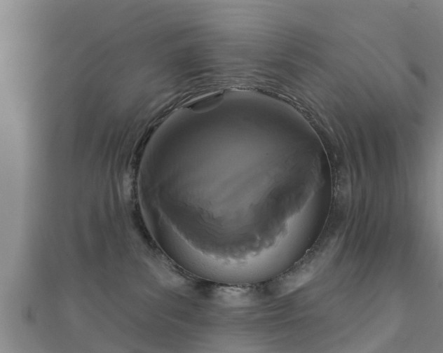 X0000111590139200907231222