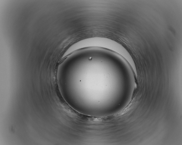 X0000111590140200907231222