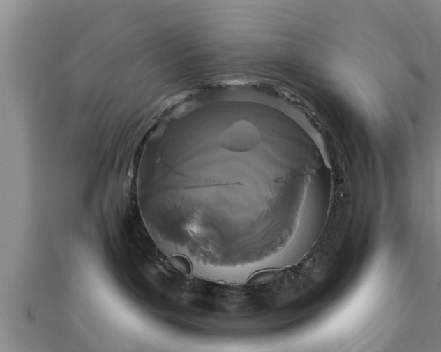 X0000111590143200907231222