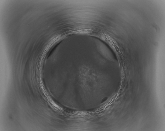 X0000111590145200907231222