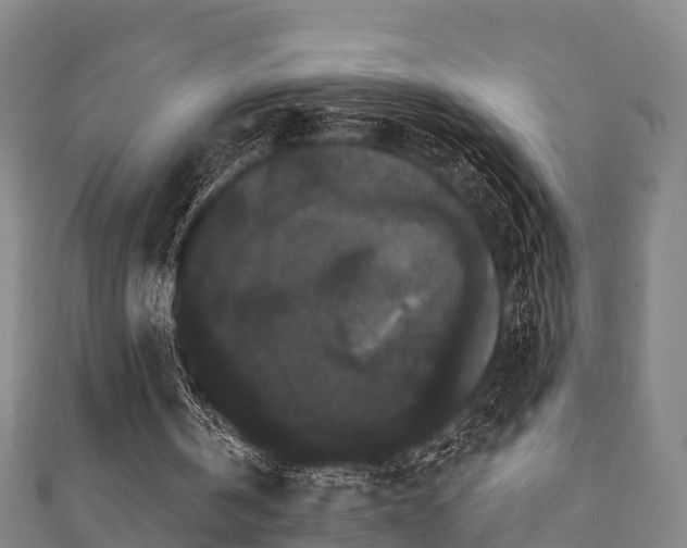 X0000111590146200907231222