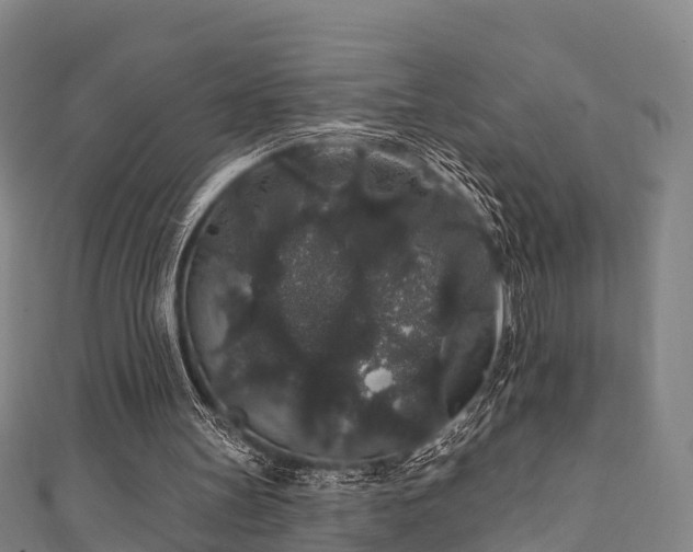 X0000111590147200907231222