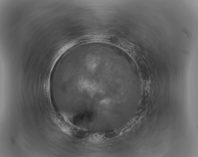 X0000111590148200907231222