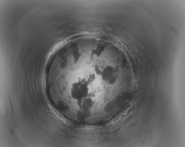 X0000111590149200907231222